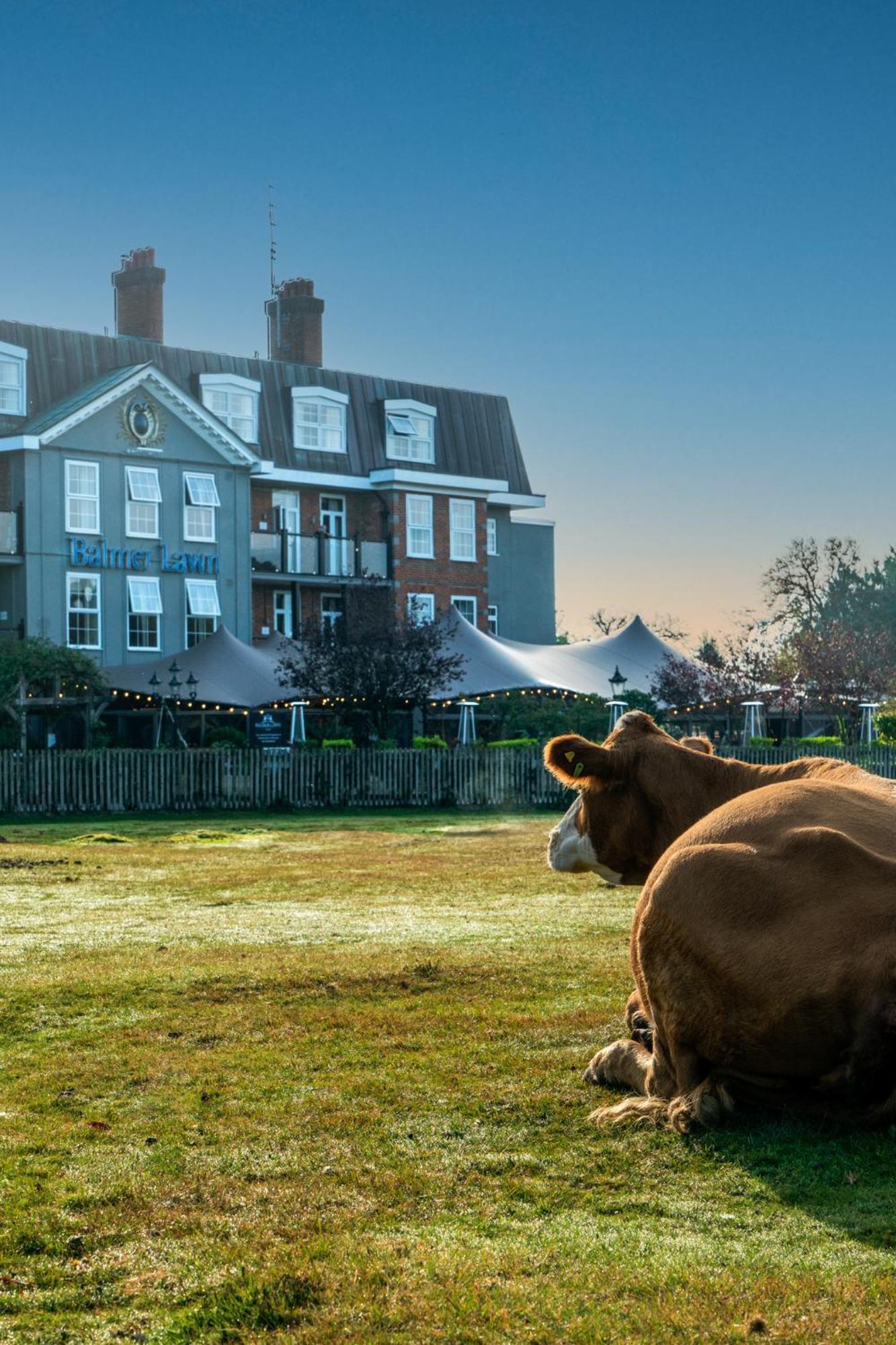 Balmer Lawn Brockenhurst Esterno foto