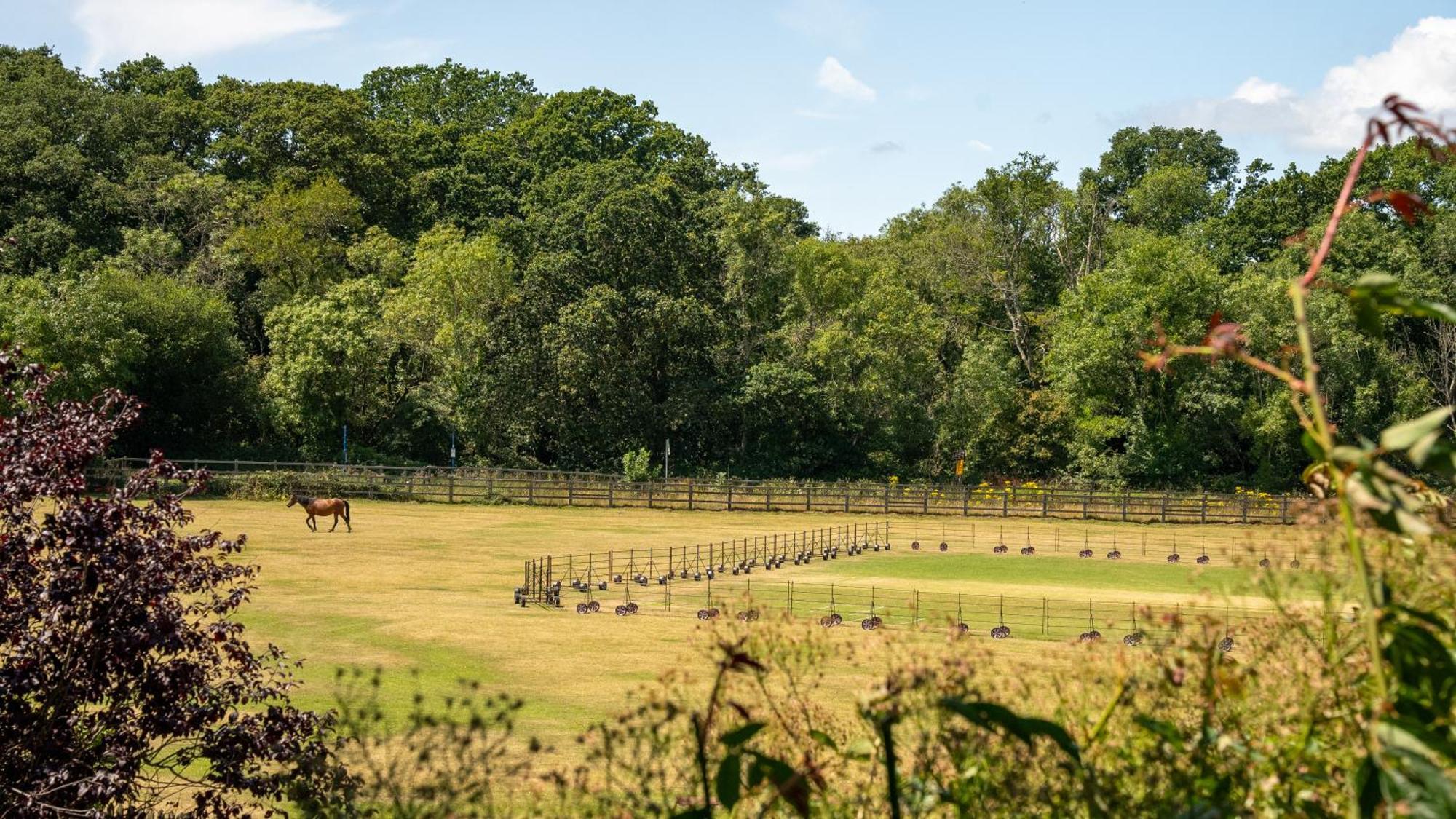 Balmer Lawn Brockenhurst Esterno foto
