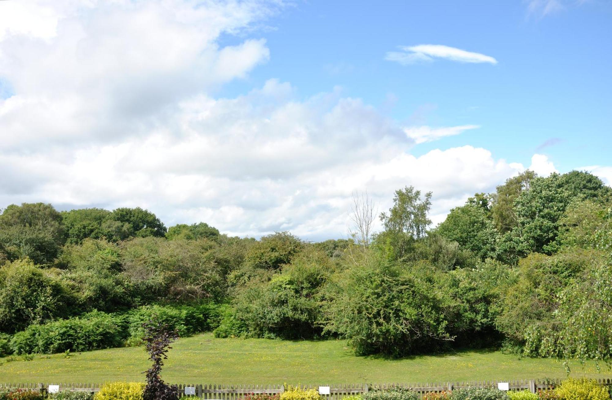 Balmer Lawn Brockenhurst Esterno foto